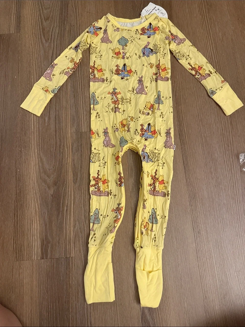 NWT Little Sleepies x Disney Winnie the Pooh Crescent Zippy - 2T